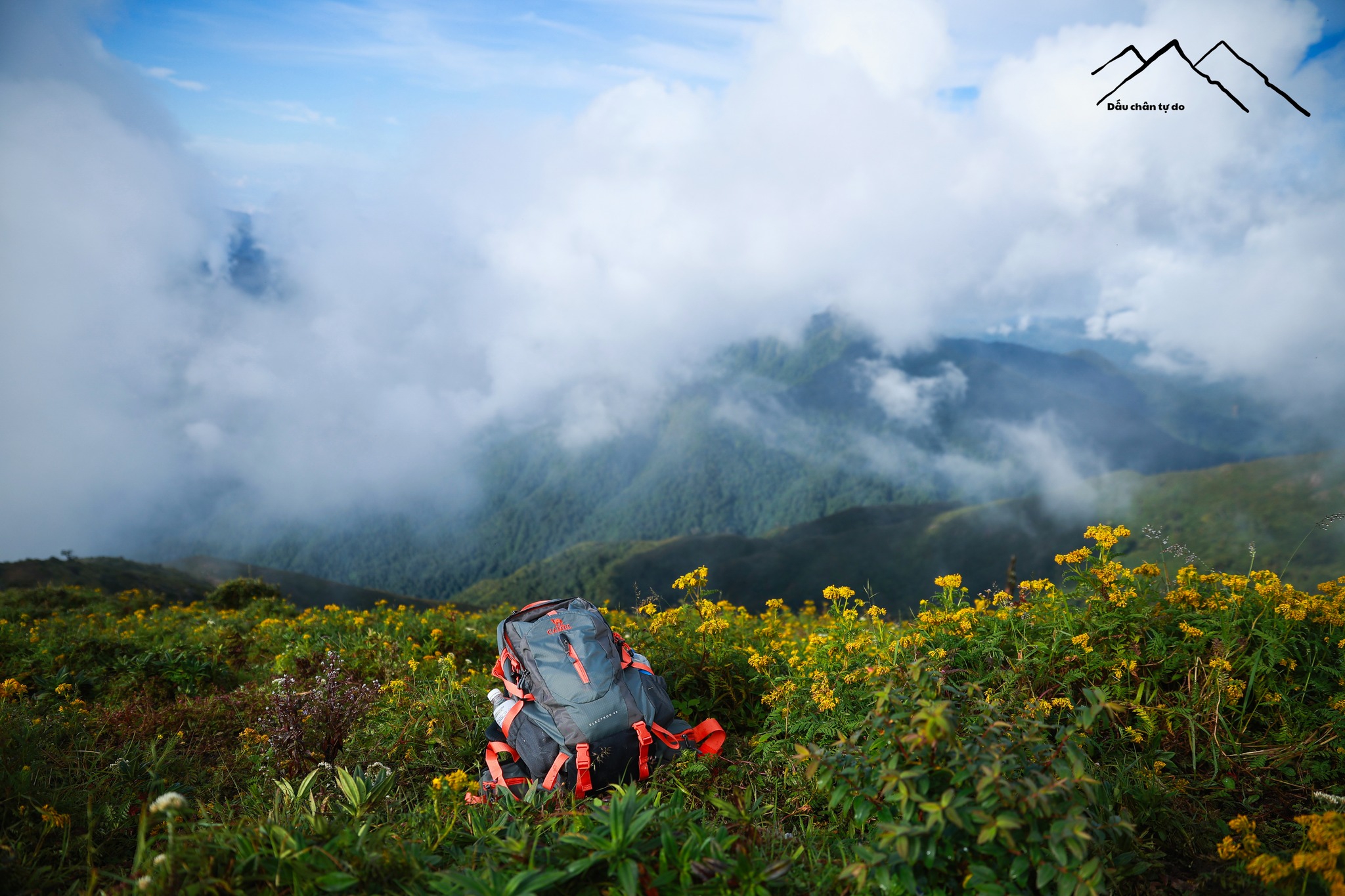 548154266_122173208012453478_5991484204070375813_n